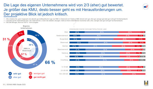 Bewertung der Geschäftslage (Grafik: Donau)
