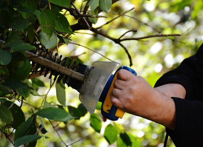 Gartenarbeit (Bild: Alexa auf Pixabay)
