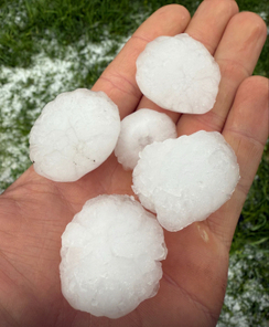 Hagel in Kukmirn, Burgenland (Bild: ÖHV)