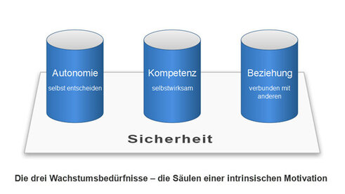 Drei Wachstumsbedürfnisse (Grafik: Positivity Guides)