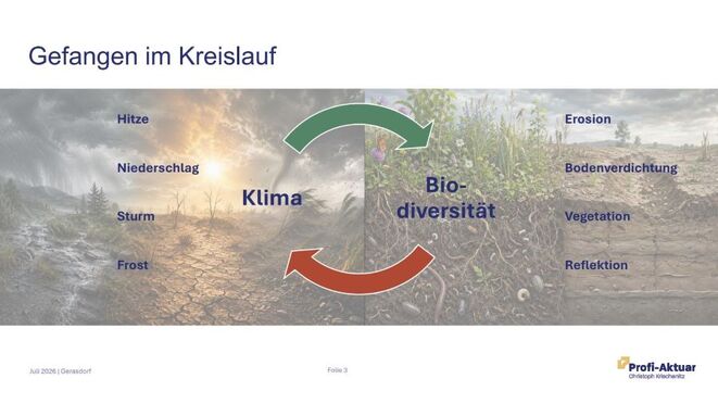 Quelle: Christoph Krischanitz