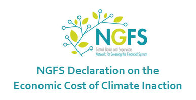 Kopf der NGFS-Erklärung (Quelle: NGFS)