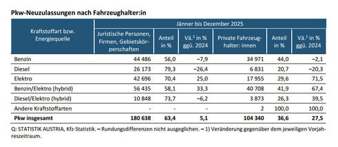 Pkw-Neuzulassungen nach Fahrzeughalter (Quelle: Statistik Austria)