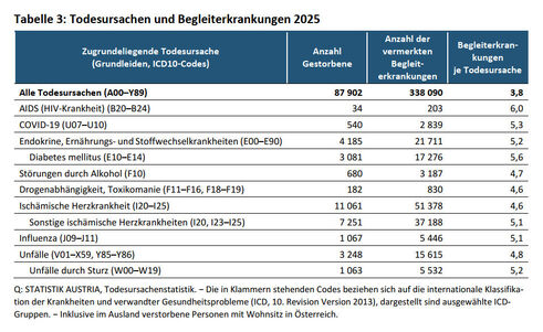 Todesursachen und Begleiterkrankungen (Quelle: Statistik Austria)