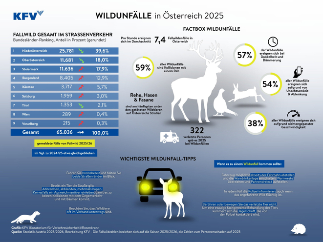 Wildunfälle (Grafik: KFV)