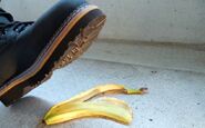 Bild: succo auf Pixabay